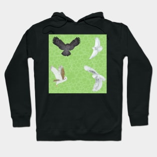 Soaring Owls Mint Hoodie